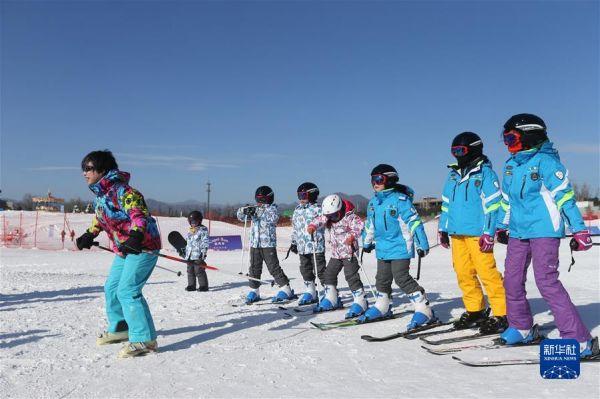 外籍中国明星,闪耀娱乐圈的星光