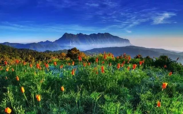 最新排行榜电视剧,探索自然美景的治愈之旅