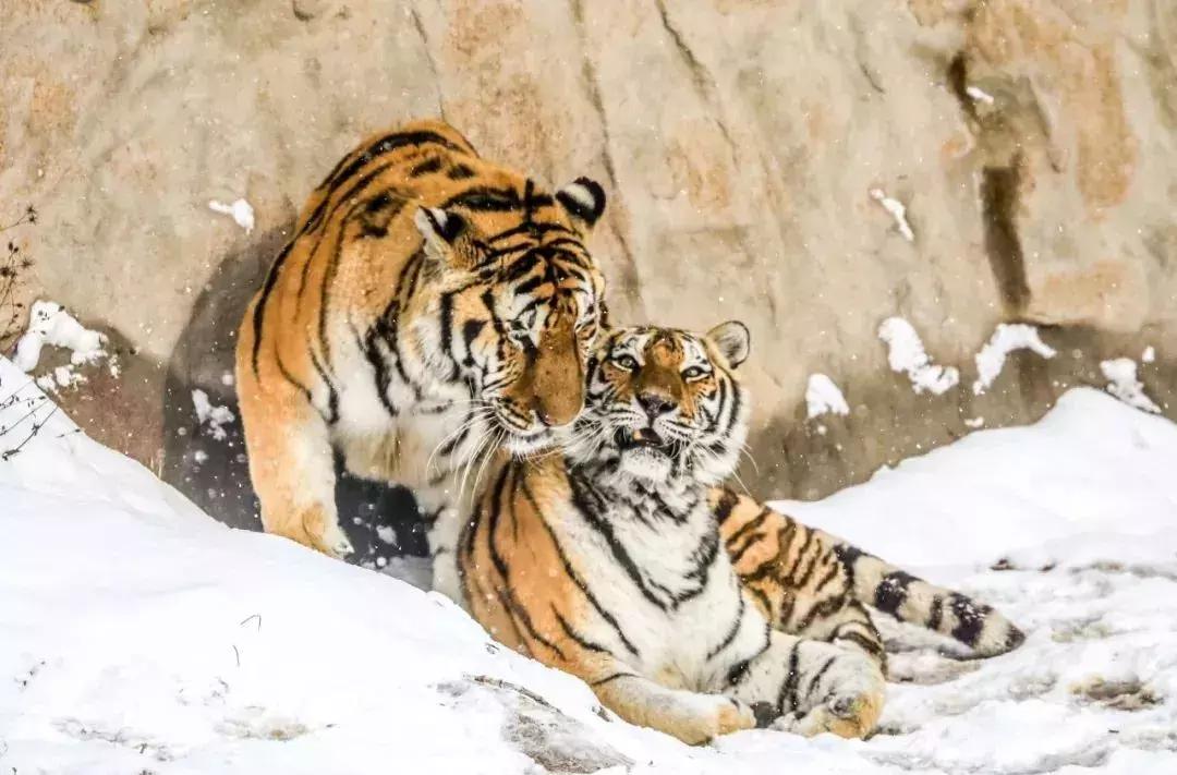 最新火锅外卖,一场自然美景的味蕾之旅,带你远离尘嚣,发现内心平静