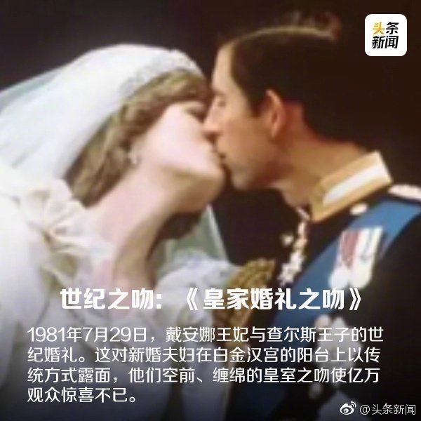 最新接吻番号,一种文化现象的深度探讨