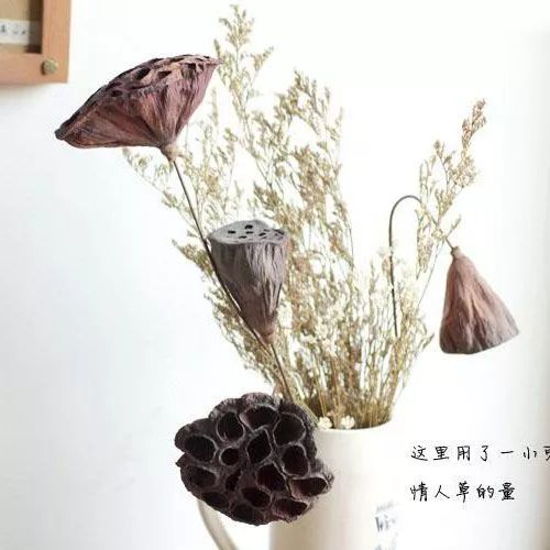 最新干花,一种艺术表现与自然魅力的融合