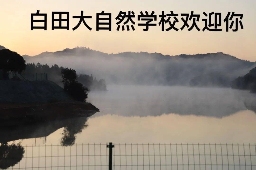 颓最新小说,自然之旅的心灵觉醒