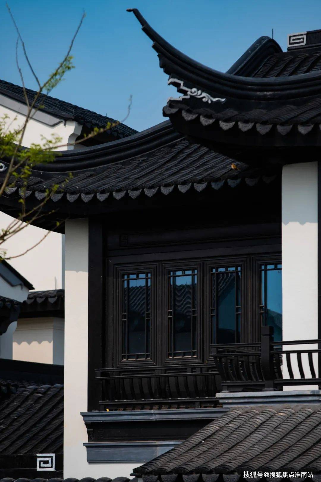 琥珀最新推测的论述分析