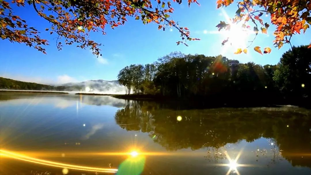 最新疫情舒兰,与自然美景的邂逅,寻找内心的平和之旅