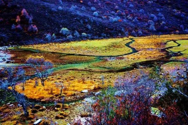 阿鹏最新探险之旅,与自然美景的邂逅,寻找内心的平和