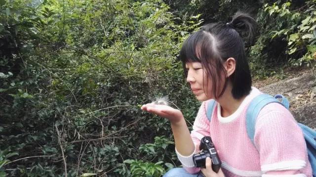 晴子最新,拥抱自然,寻找内心的宁静之旅