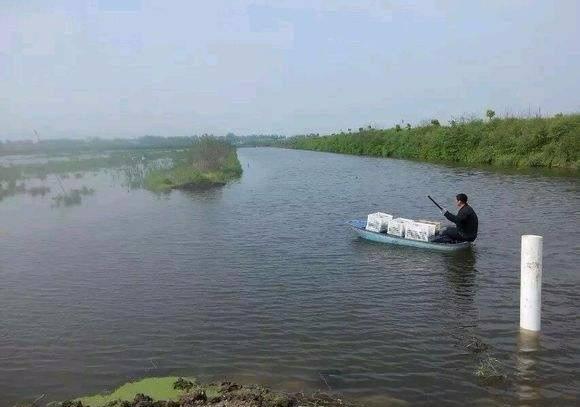 最新虾价,一场探索自然美景的旅行,寻找内心的平静与喜悦
