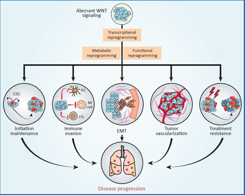 最新年对,探讨发展的双刃剑效应