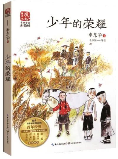 鸽子牧最新,鸽子的温馨日常与友情的力量