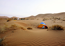最新同步检测,一场自然美景的探索之旅
