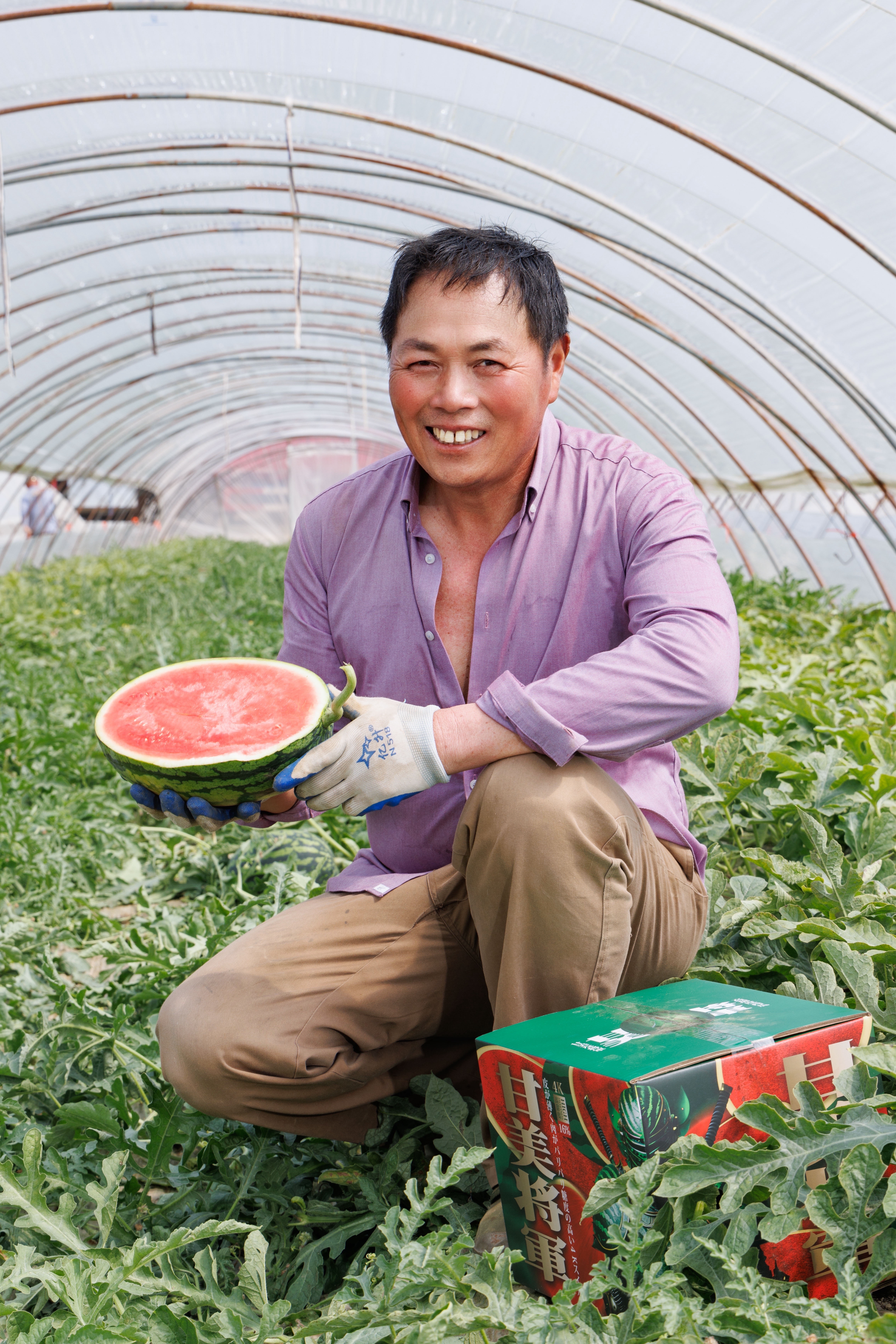 最新西瓜,时代背景下的甘甜传奇