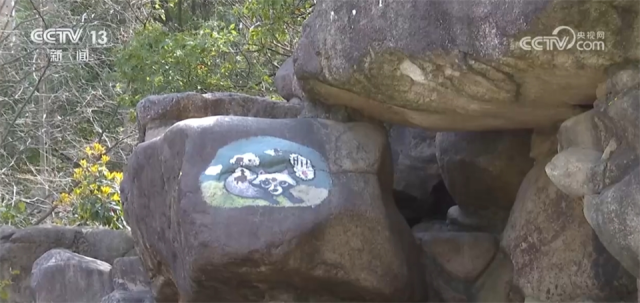 动物最新地,人类与自然的和谐共生之道