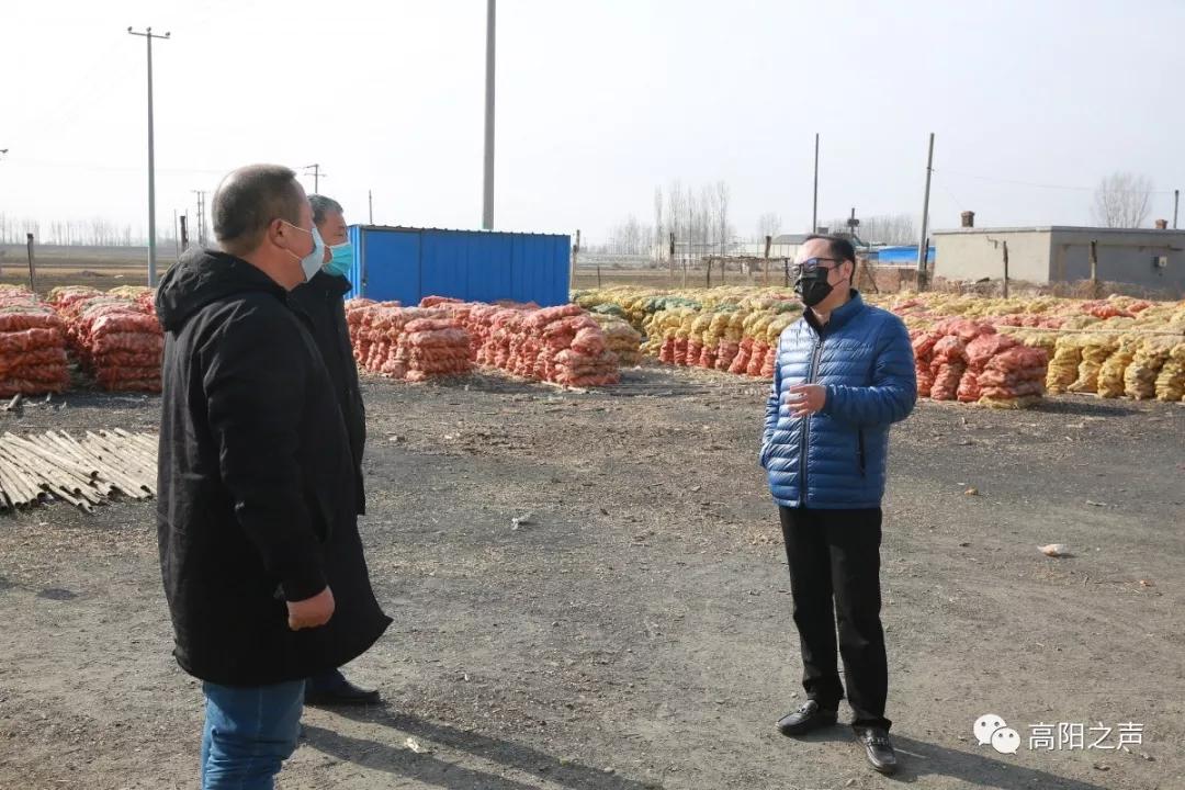 高阳最新疫情,回顾与洞察