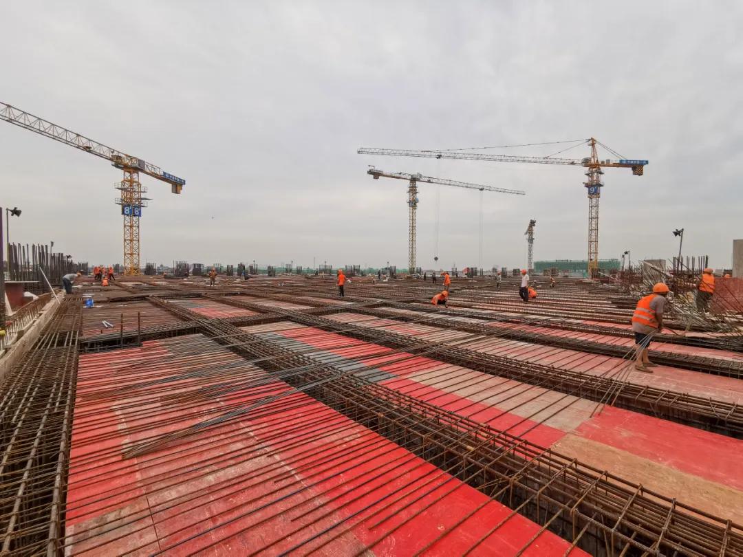 萧山最新直播——日常趣事与朋友间的情感纽带