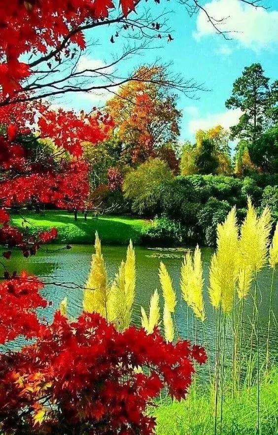 早安祝福最新,阳光下的温馨日常