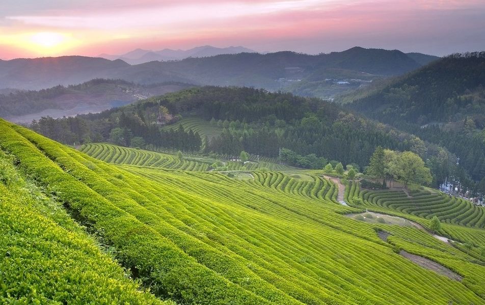 山东防疫最新,一场自然美景的探索之旅,寻找内心的平和与宁静