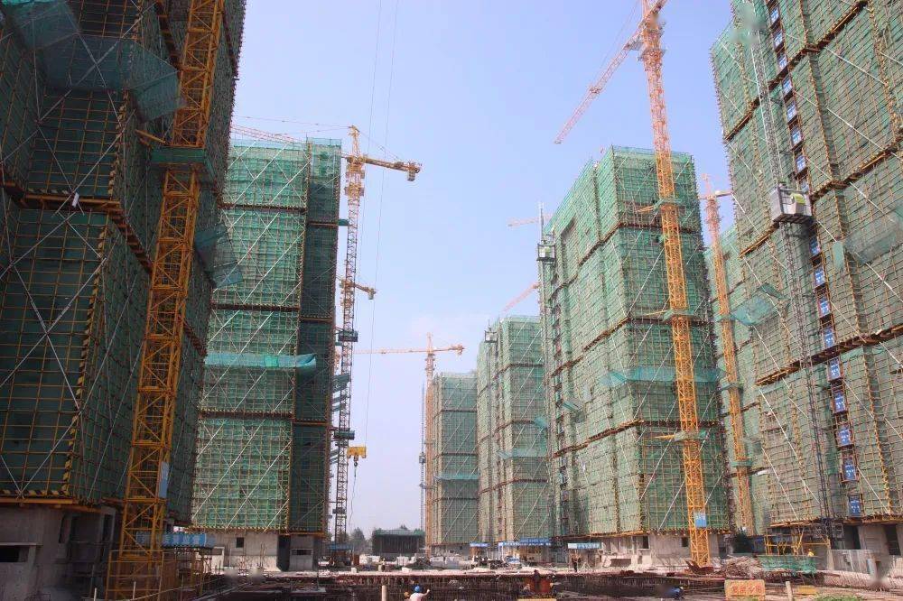 安置房最新动态,了解政策走向与市场趋势