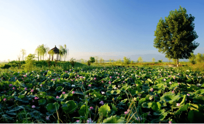 扶风最新疫情下的自然之旅,寻找内心的宁静与平和