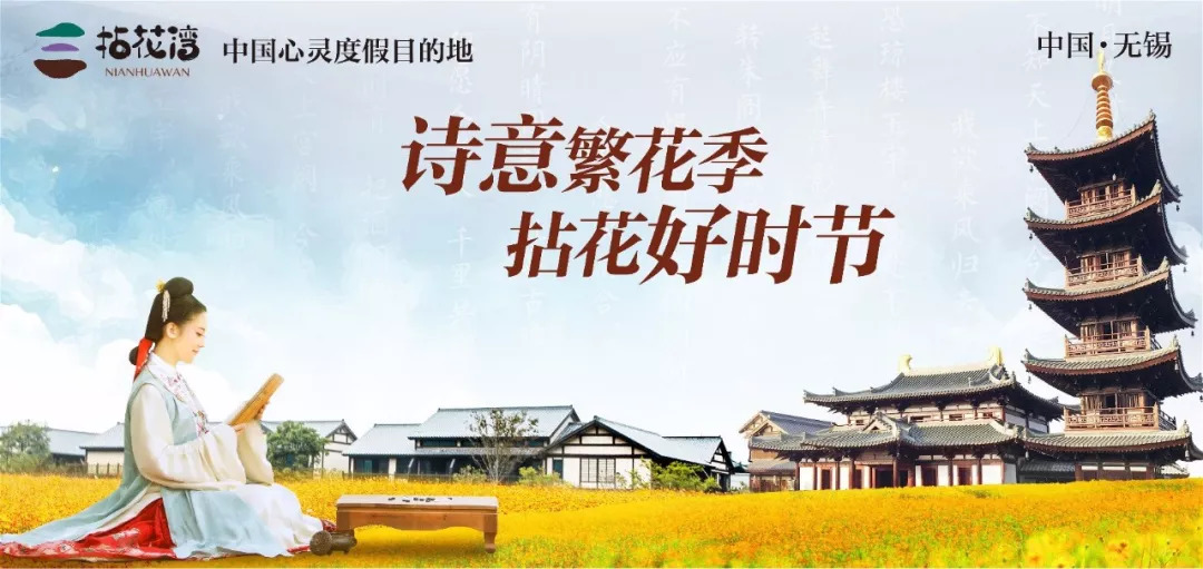 沙田镇的最新日常,友情与陪伴的温馨篇章