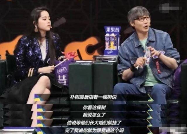 朴树最新综艺,科技与生活的前卫融合,引领新时代的视听盛宴