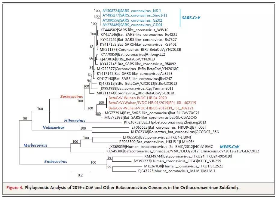 最新肺炎指数,全面解读与关注