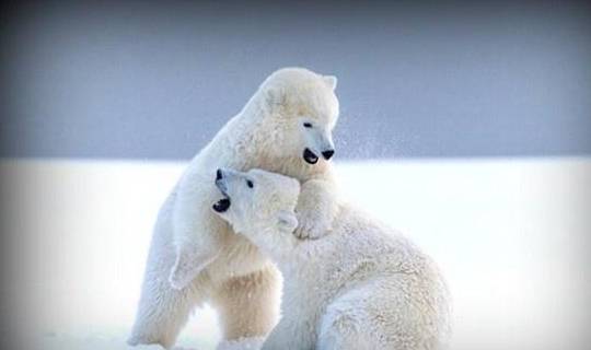 小草最新网,友情的小温馨与日常的小趣味