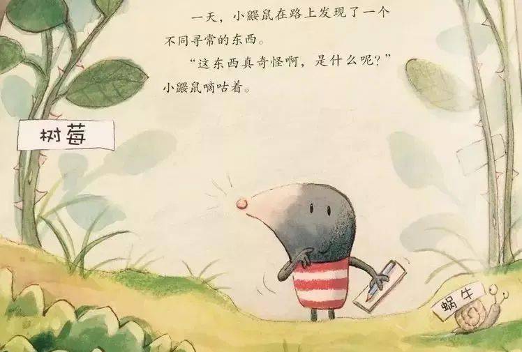 小草最新网,友情的小温馨与日常的小趣味