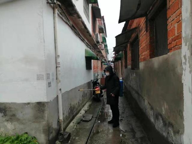 度印最新疫情最新消息,小巷深处的独特风情