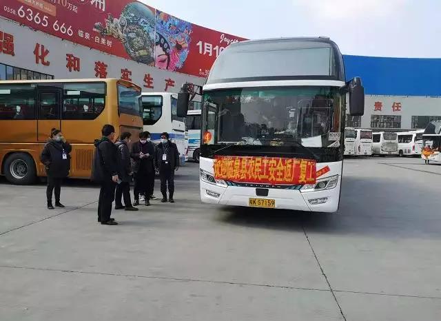 临泉最新肺炎,多方观点下的探讨与解析