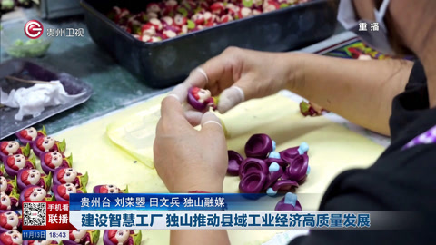 独山最新投资项目,点燃希望之火,成就未来之光