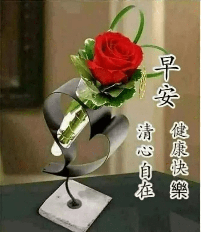 金满堂最新图片,温馨日常的欢乐时光