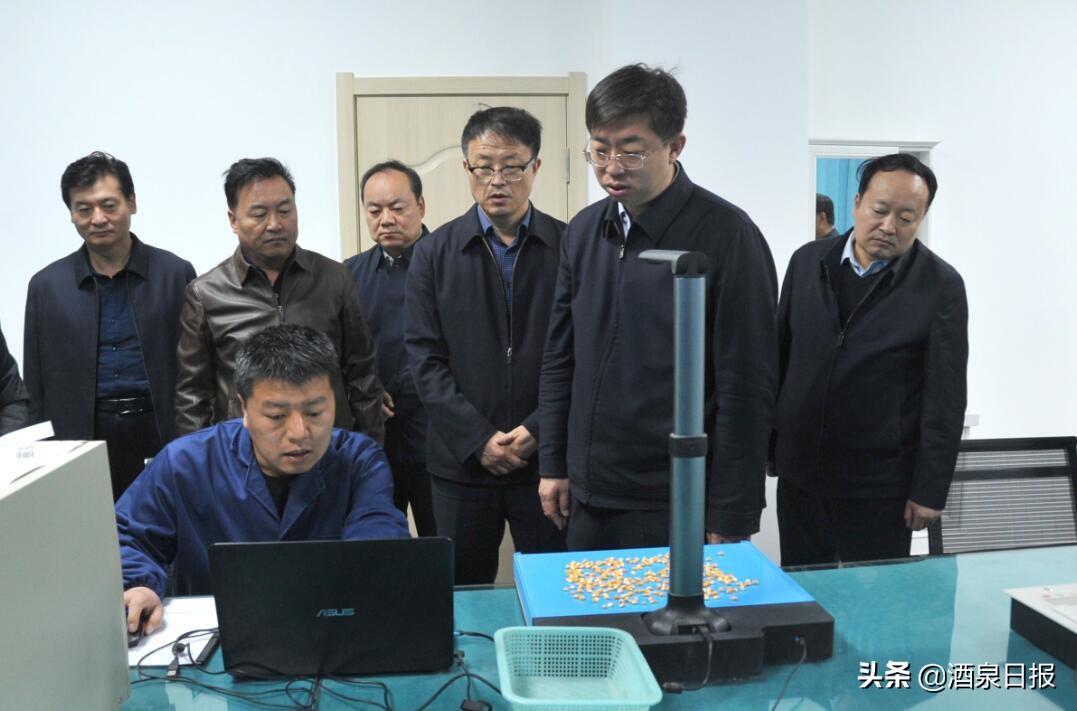 最新酒泉市长,日常趣事与友情纽带