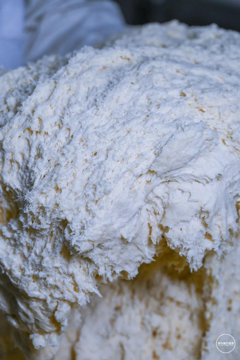 日漫最新蕃,小巷中的秘密乐园