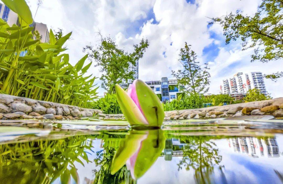 最新款纯棉制作指南——从选择到完成的每一步