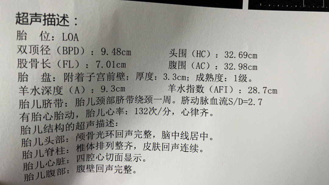 第1061页