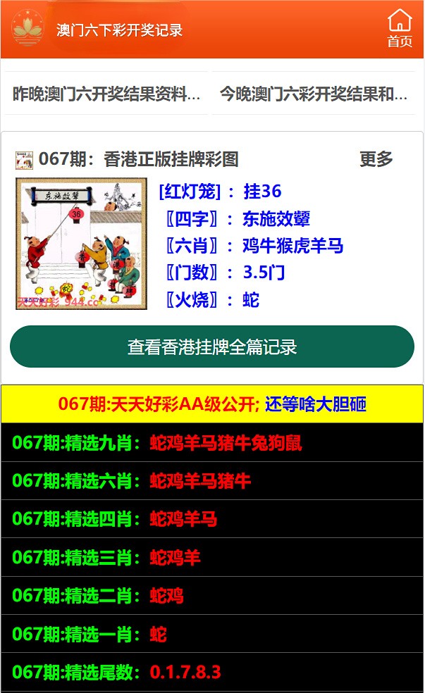 2024年10月19日 第28页