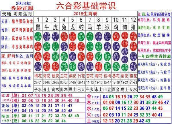 2024澳门正版资料大全资料生肖卡,2024澳门生肖卡资料汇总_冒险版5.61