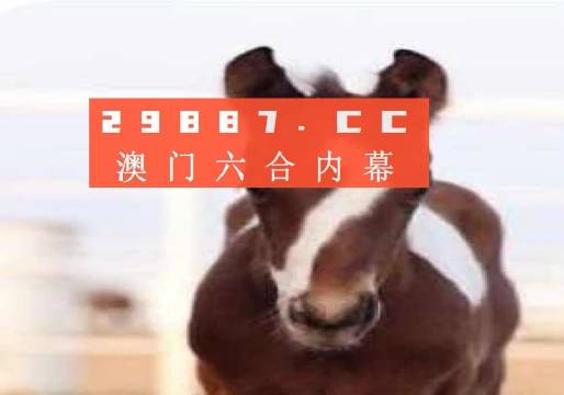 澳门赌博犯罪 第3页