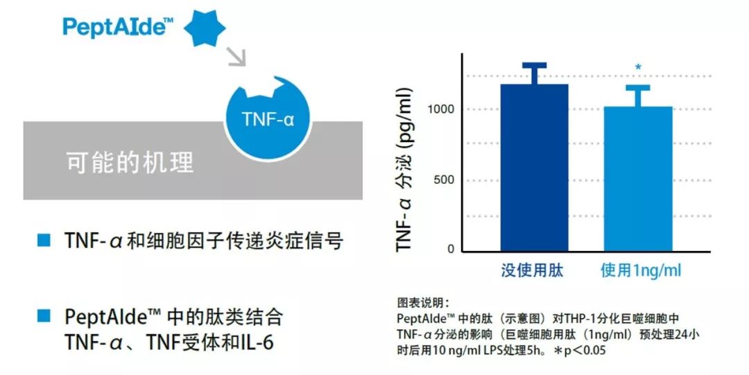 精准资料解析