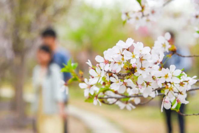 高效解答解释定义：丁香婷婷深情五月亚洲_iShop50.58.95