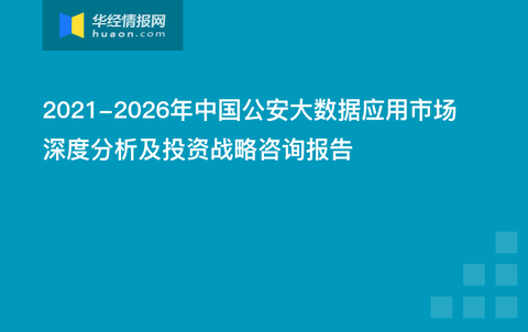 数据应用策略