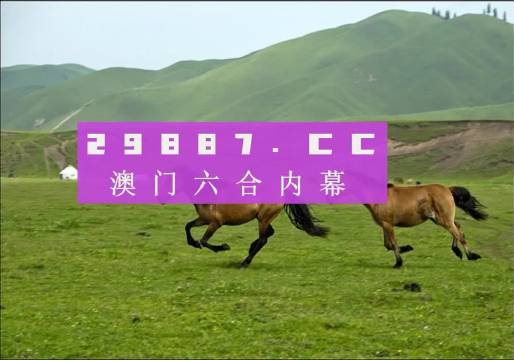 今期澳门老版正版跑狗图,功率解答解释落实_Executive19.552