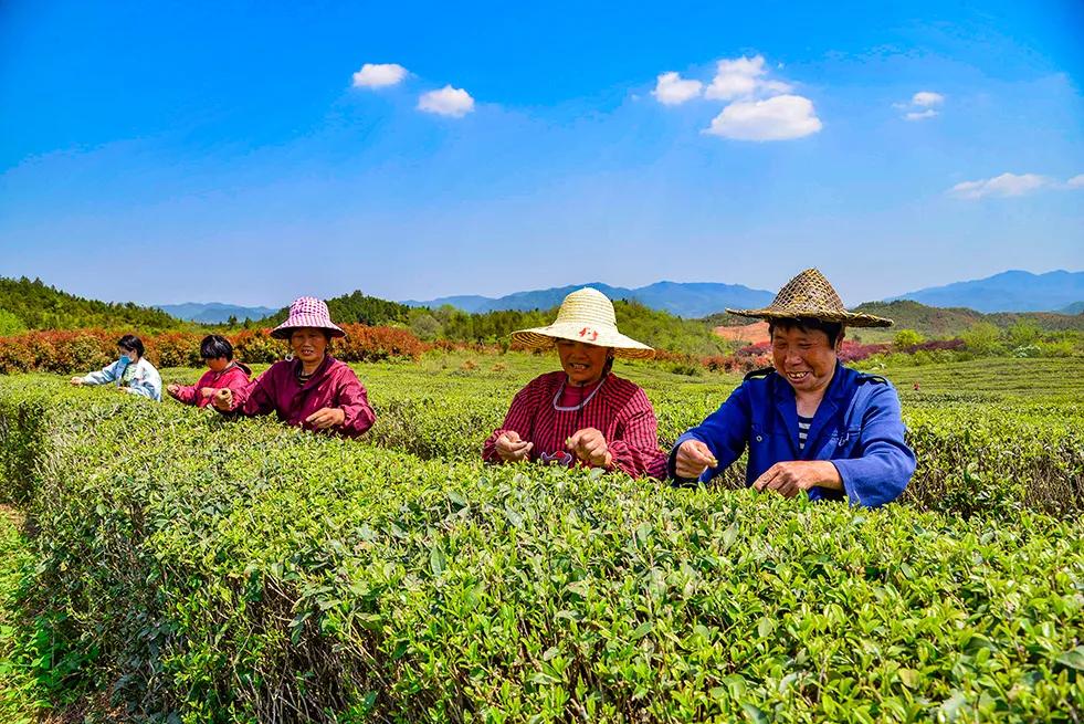 天华阳光股价最新