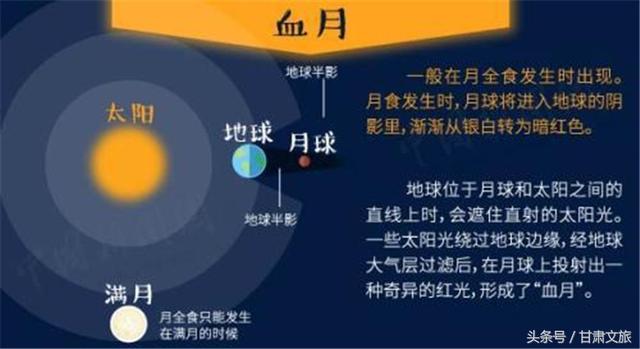 2024新奥今晚揭晓开奖号码深度预测技巧分享_新手必看指南