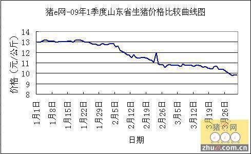 今日生猪最新价格临沂