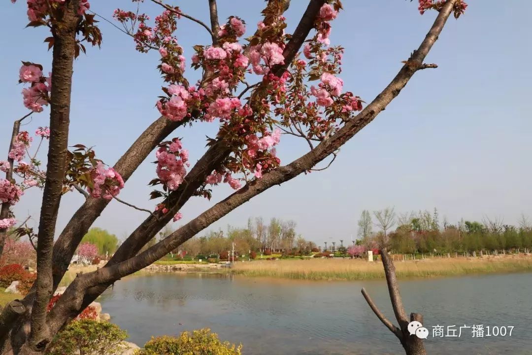 最新商丘忽悠团，一场与自然美景的浪漫邂逅