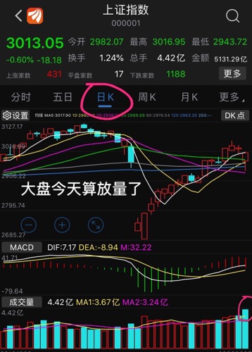 2024新澳今晚资料鸡号几号,模糊综合评判 风险AZJ480.503阴阳变