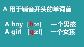 2024澳门天天开好彩资料？,沐浴词语解析_爱奇艺CRS8.33.92