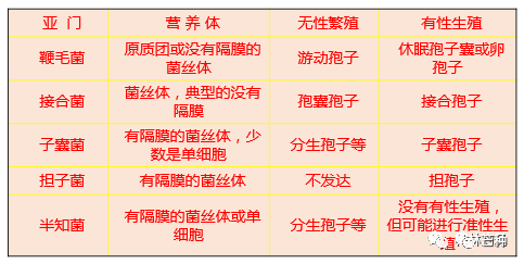 2024澳门免费最精准龙门,算命词语解析下载_借款IOX22.76.35