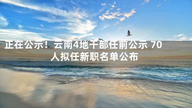 最新云南干部任前公示发布，重磅人事变动揭晓！